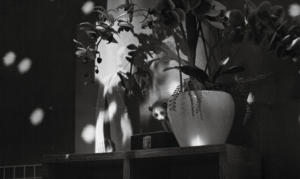 Cu Li And Those Left&nbsp;Behind